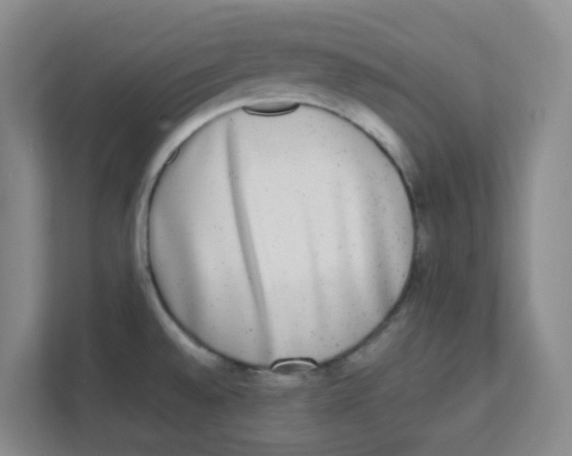 X0000111371528200907311023