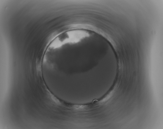 X0000111371529200907311023