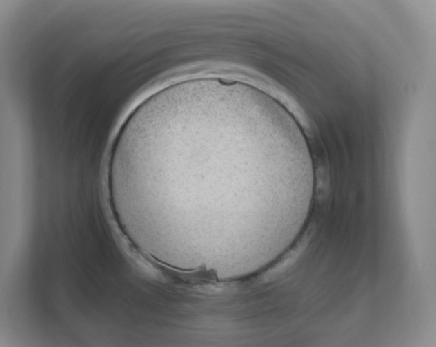 X0000111371530200907311023