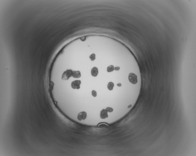 X0000111371531200907311023