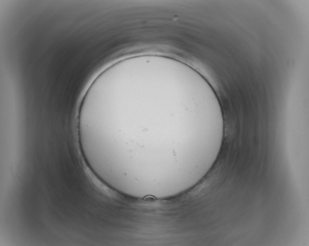 X0000111371532200907311023