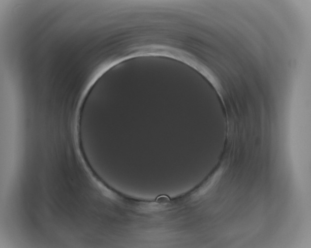 X0000111371533200907311023