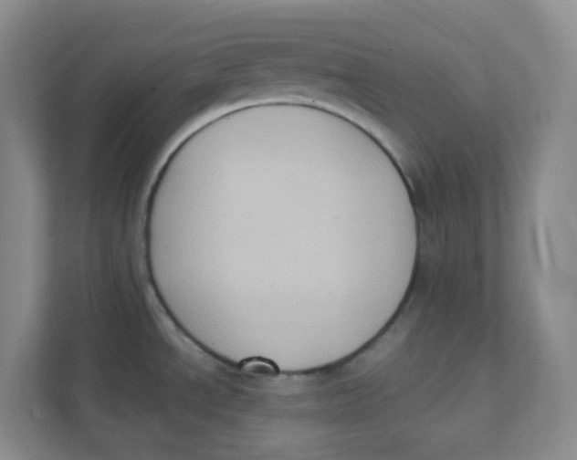 X0000111371534200907311023