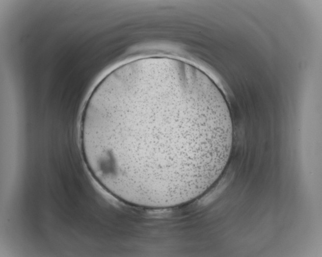 X0000111371535200907311023