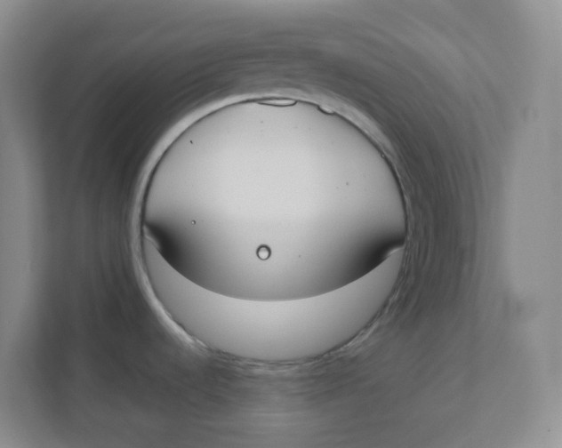 X0000111371536200907311023