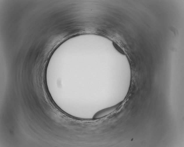 X0000111370001200908071224