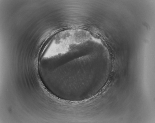 X0000111370002200908071224