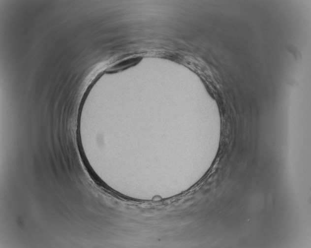 X0000111370003200908071224