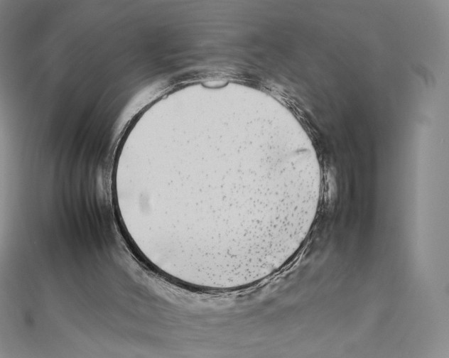 X0000111370004200908071224