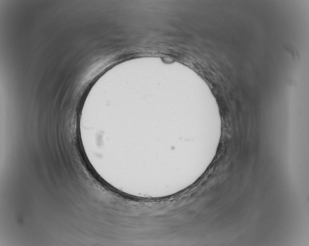 X0000111370005200908071224