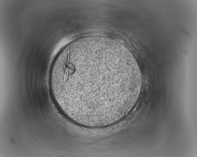 X0000111370006200908071224