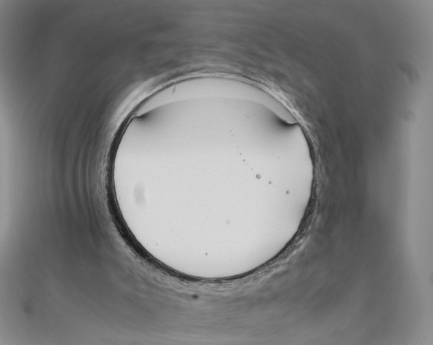 X0000111370007200908071224