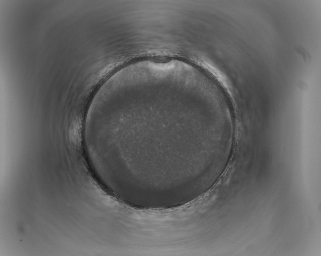 X0000111370009200908071224