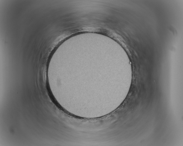 X0000111370011200908071224