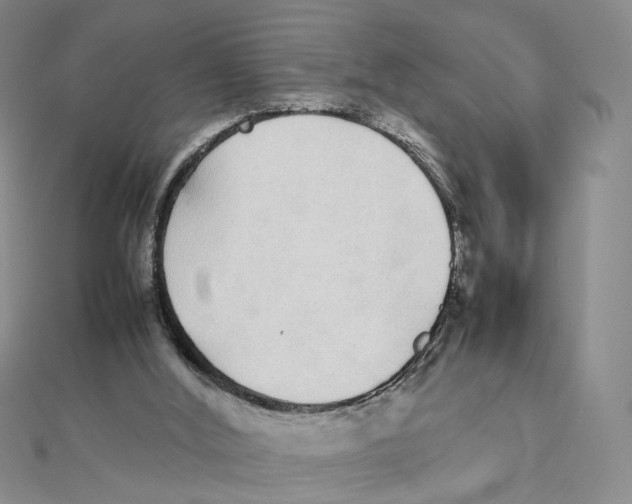 X0000111370012200908071224