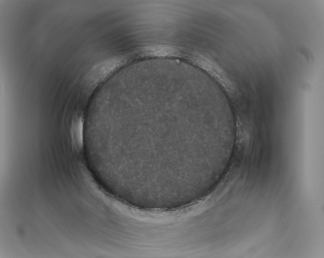 X0000111370014200908071224