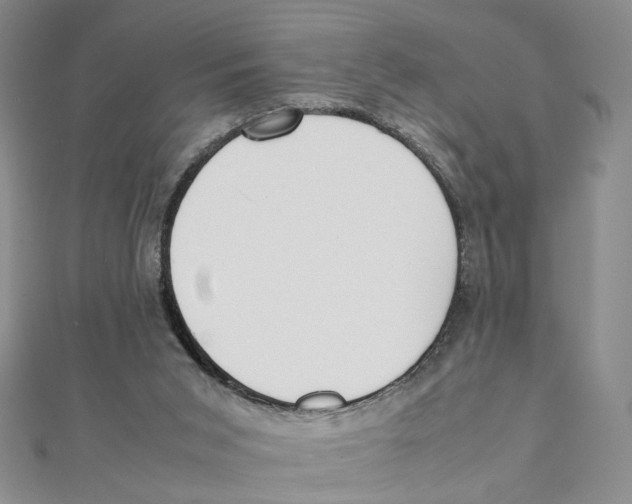 X0000111370015200908071224