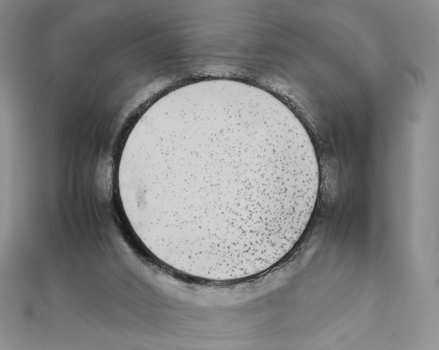 X0000111370016200908071224