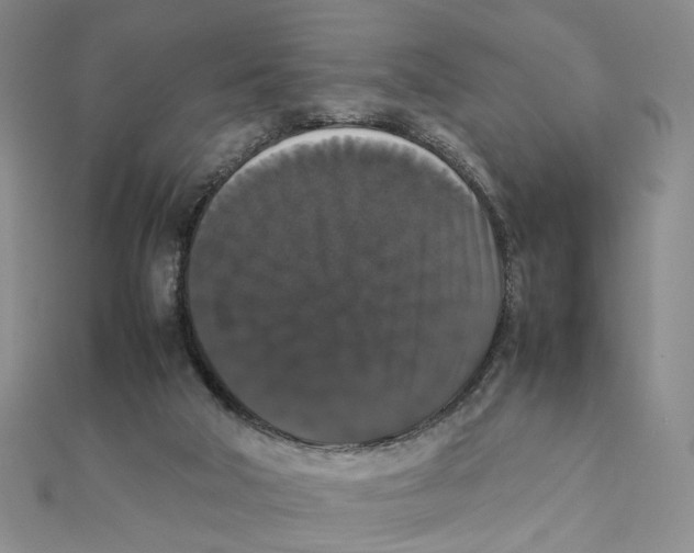 X0000111370018200908071224