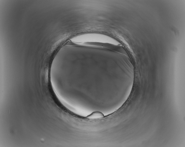 X0000111370019200908071223