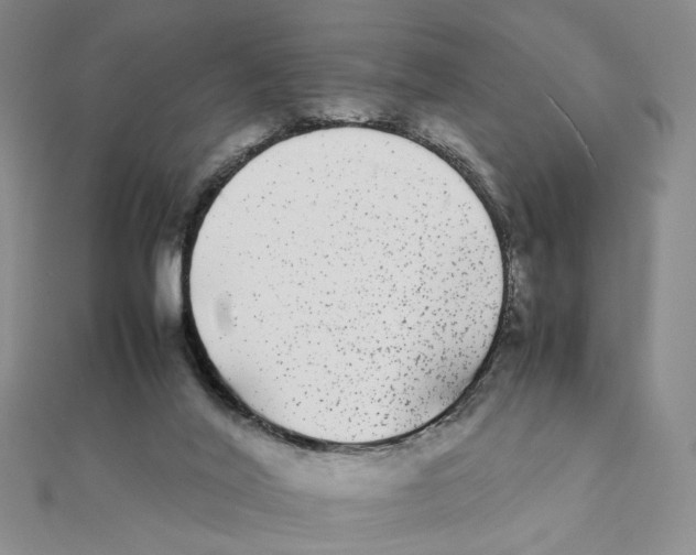 X0000111370020200908071223