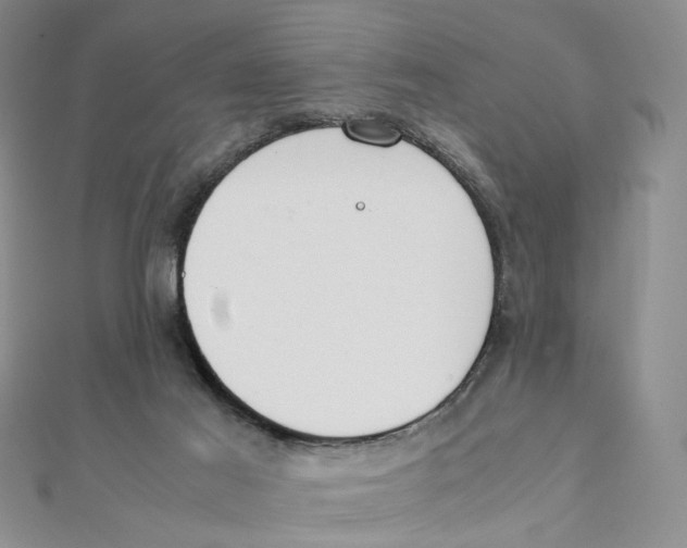 X0000111370021200908071223