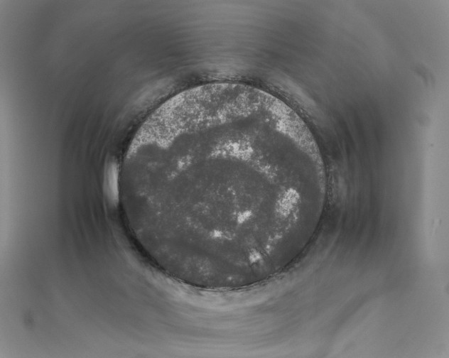 X0000111370022200908071223