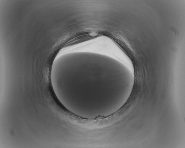X0000111370023200908071223