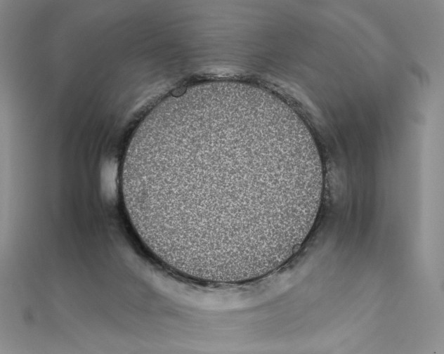 X0000111370024200908071223