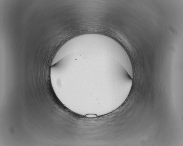 X0000111370025200908071223
