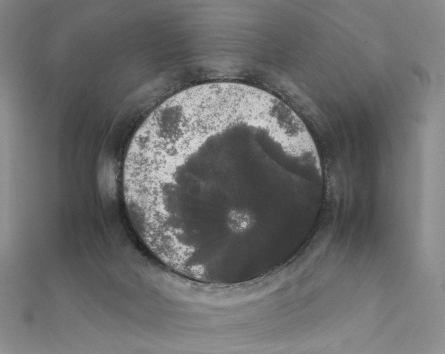 X0000111370026200908071223