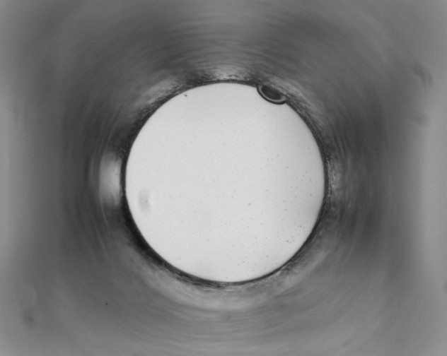 X0000111370028200908071223