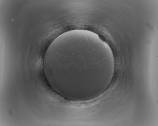 X0000111370029200908071223