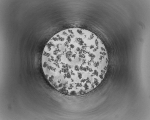 X0000111370030200908071223