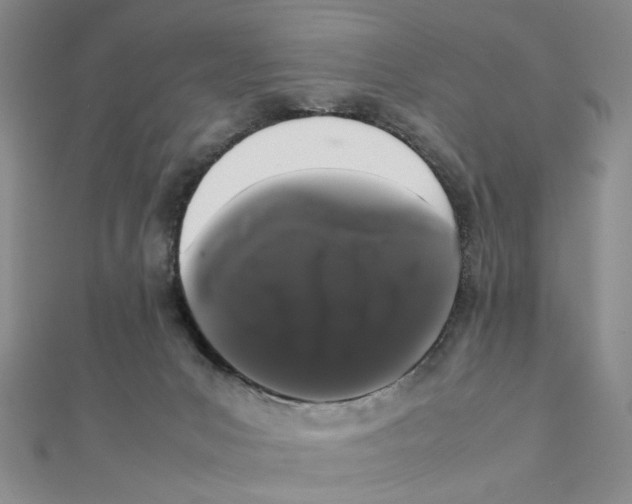 X0000111370031200908071223