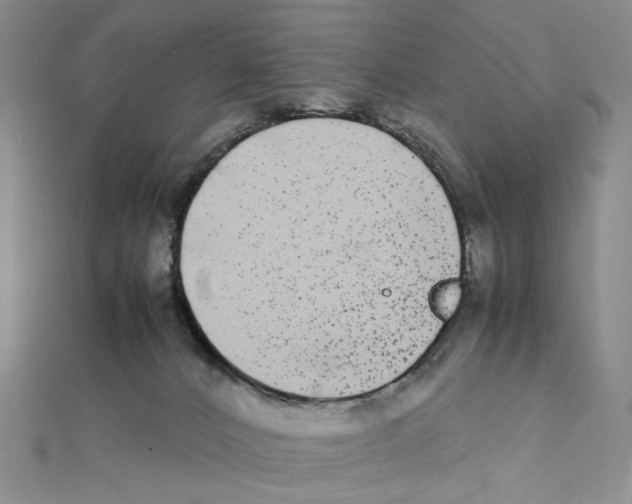 X0000111370032200908071223