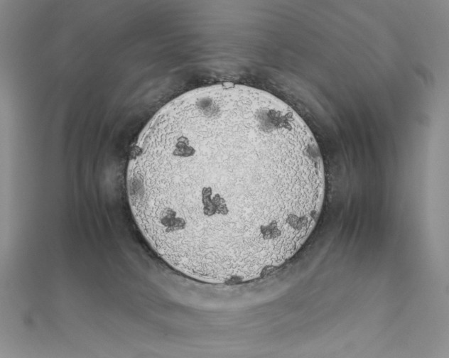 X0000111370034200908071223