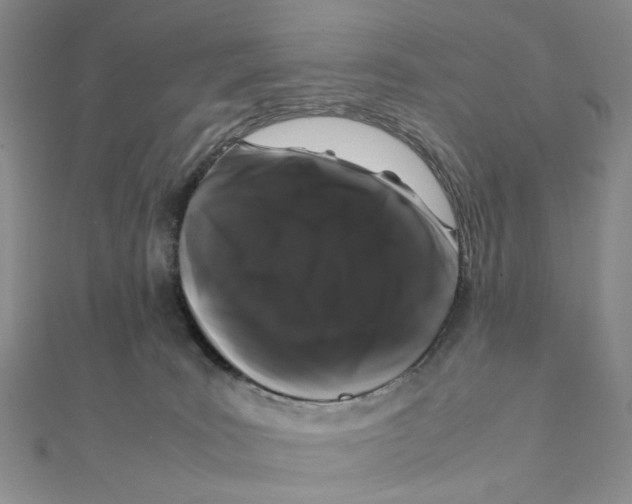 X0000111370035200908071223