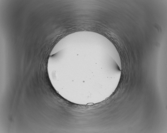 X0000111370037200908071223