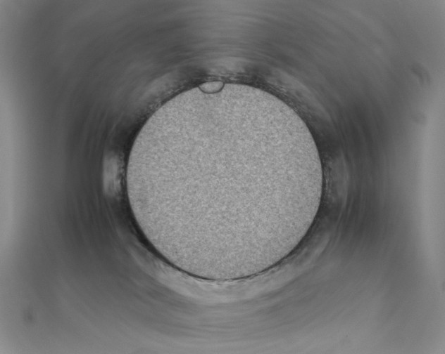 X0000111370038200908071223