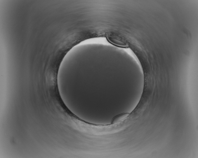 X0000111370039200908071223