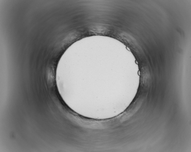 X0000111370040200908071223