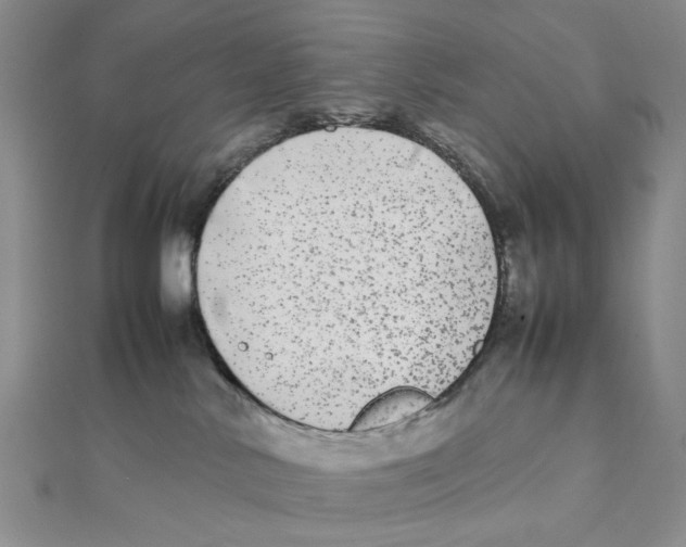 X0000111370042200908071223