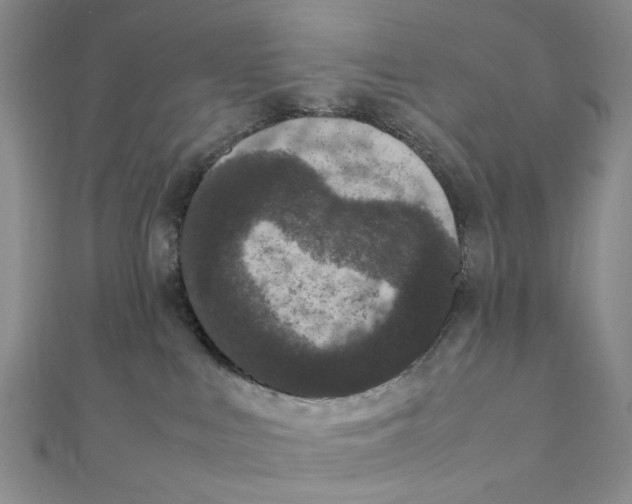 X0000111370043200908071223