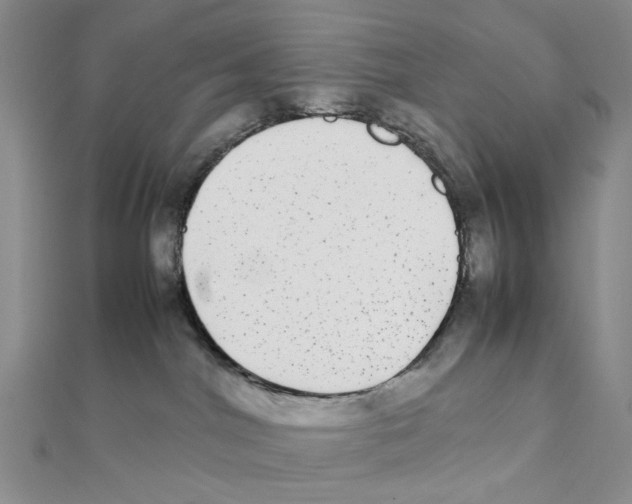 X0000111370044200908071223
