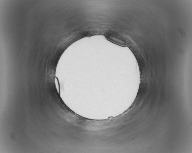 X0000111370045200908071223