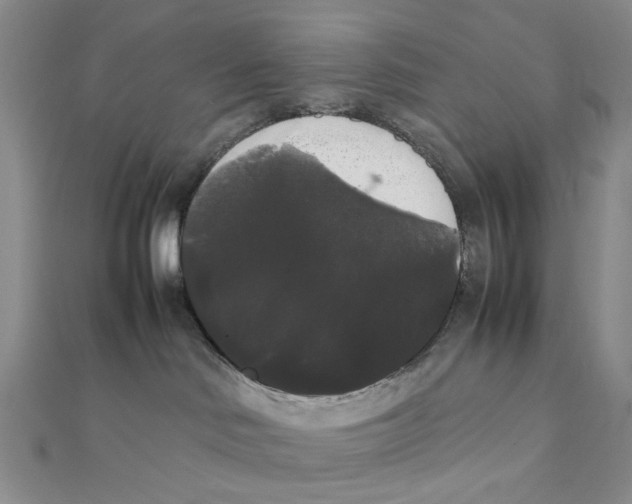 X0000111370046200908071223