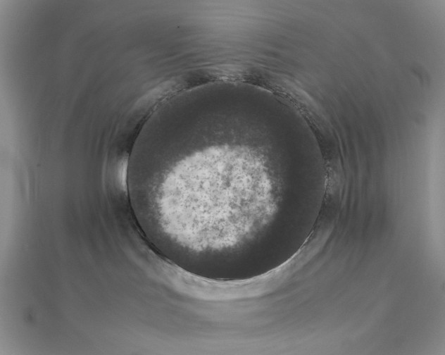 X0000111370047200908071223