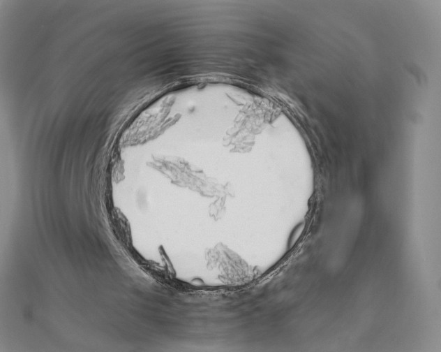 X0000111370049200908071222