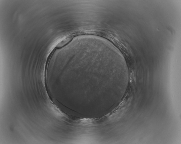 X0000111370052200908071222